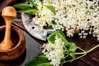 A wooden mortar and pestle next to an old metal herb chopper on a dark wooden surface, surrounded by fresh elderflower blossoms.